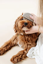 Pawtastic Doodles Pupwell Grooming Kit