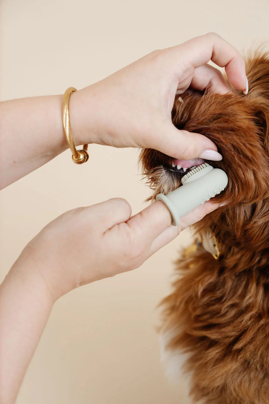 Pawtastic Doodles Pupwell Grooming Kit